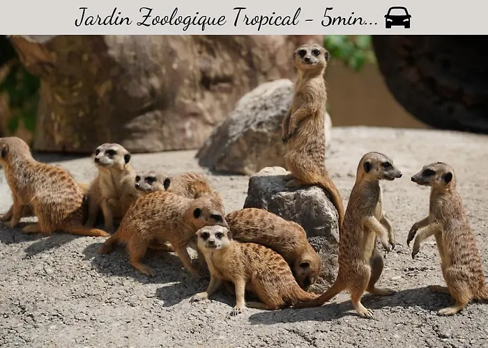 Special Couple & Famille - Lit Queen Size - Netflix - Climatisation - Terrasse Plein Sud - 2 Min Centre-ville - 6 Min - Wifi 400 Mbits Parking Prive - Speciale アパート *