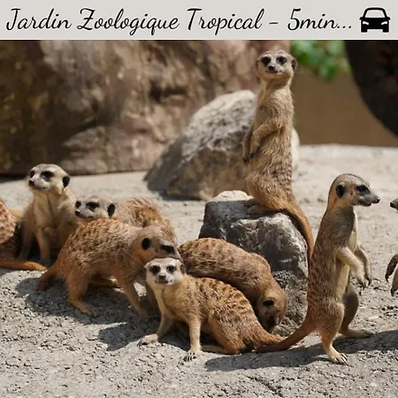 Special Couple & Famille - Lit Queen Size - Netflix - Climatisation - Terrasse Plein Sud - 2 Min Centre-ville - 6 Min - Parking Prive - Speciale Apartment *